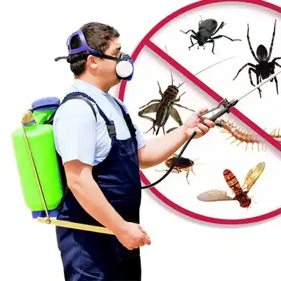 pest control Manitou Beach-Devils Lake